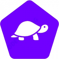 Purple Turtle Crochet